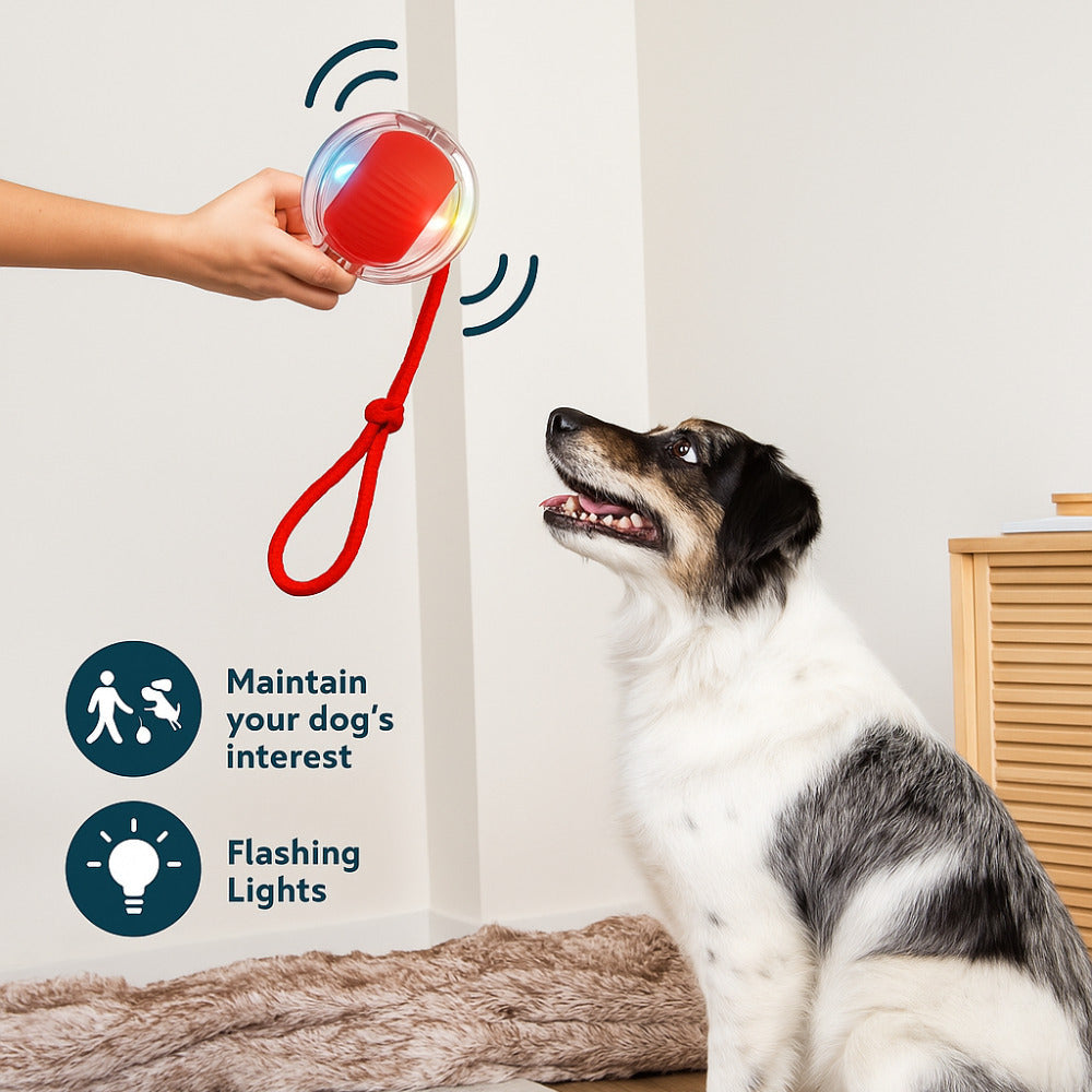 Cat and dog interactive ball