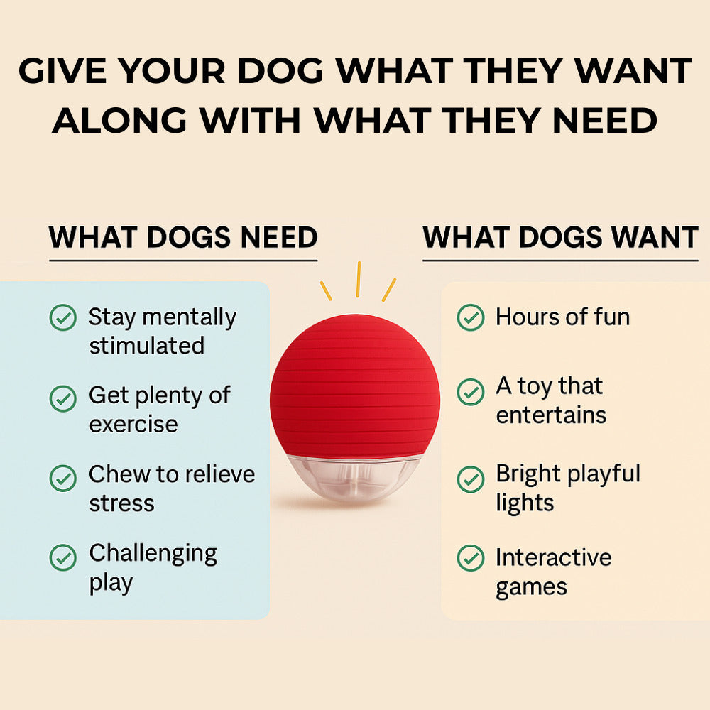 Cat and dog interactive ball