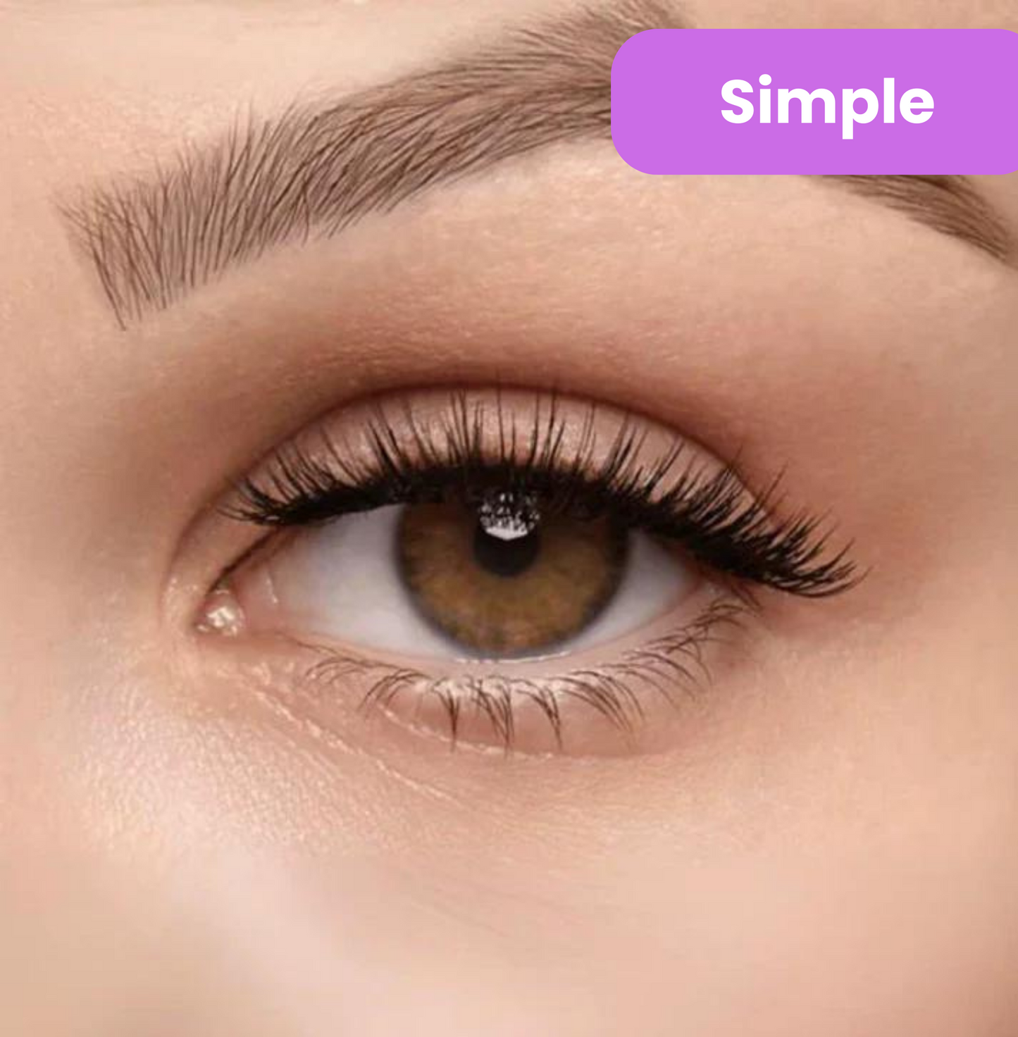 Snap-On Magnetic Eyelashes