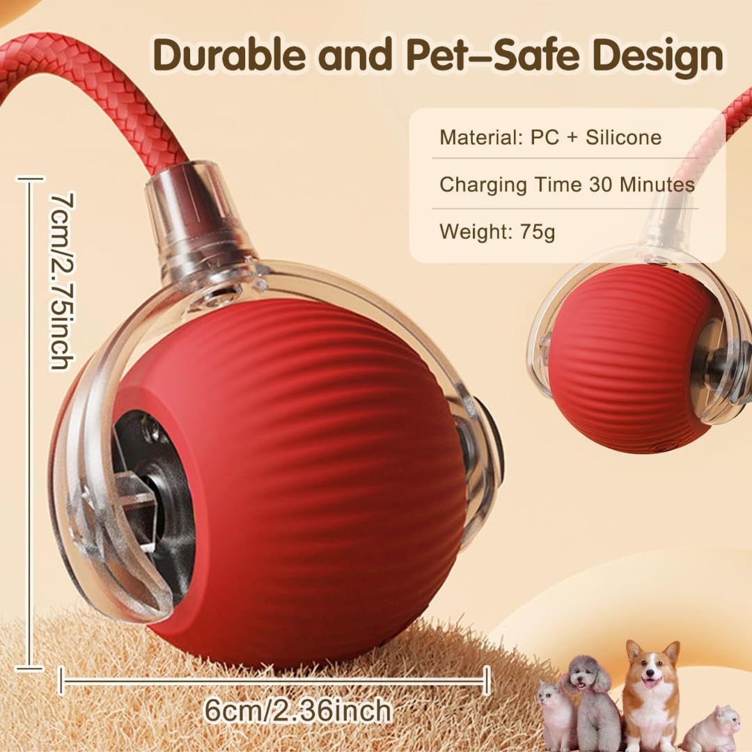Cat and dog interactive ball