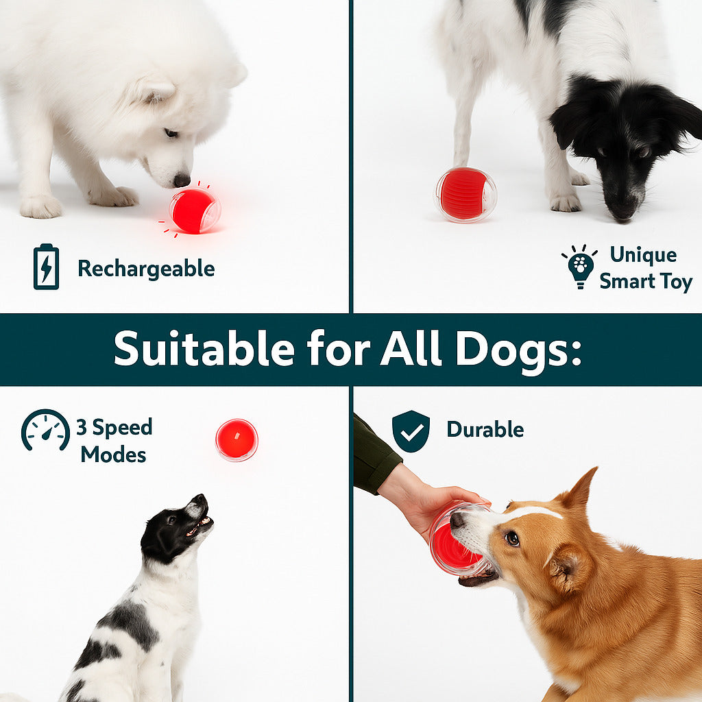 Cat and dog interactive ball