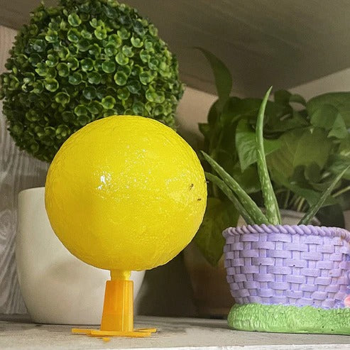 Sticky fruit fly trap ball with stand & LED