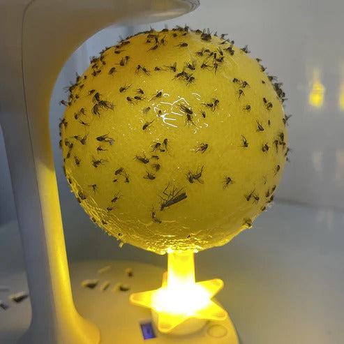 Sticky fruit fly trap ball with stand & LED