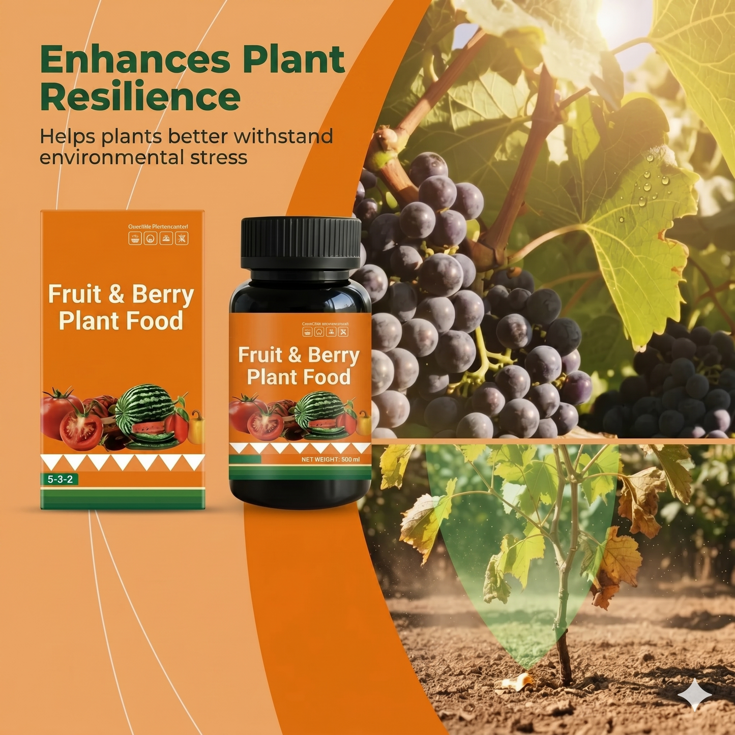 Fruit and berry plant food