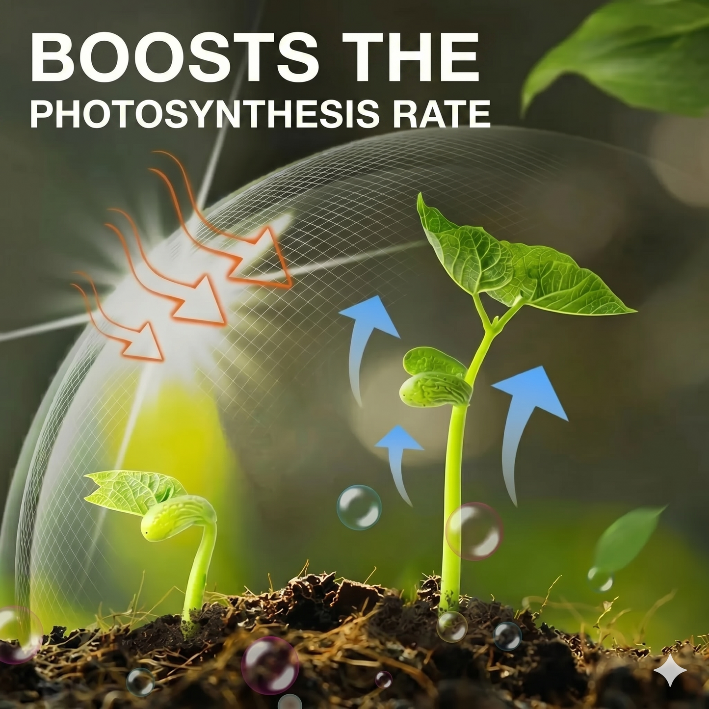 Plant nutrient solution
