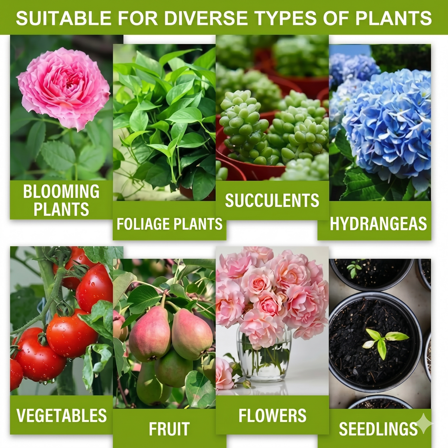 Plant nutrient solution