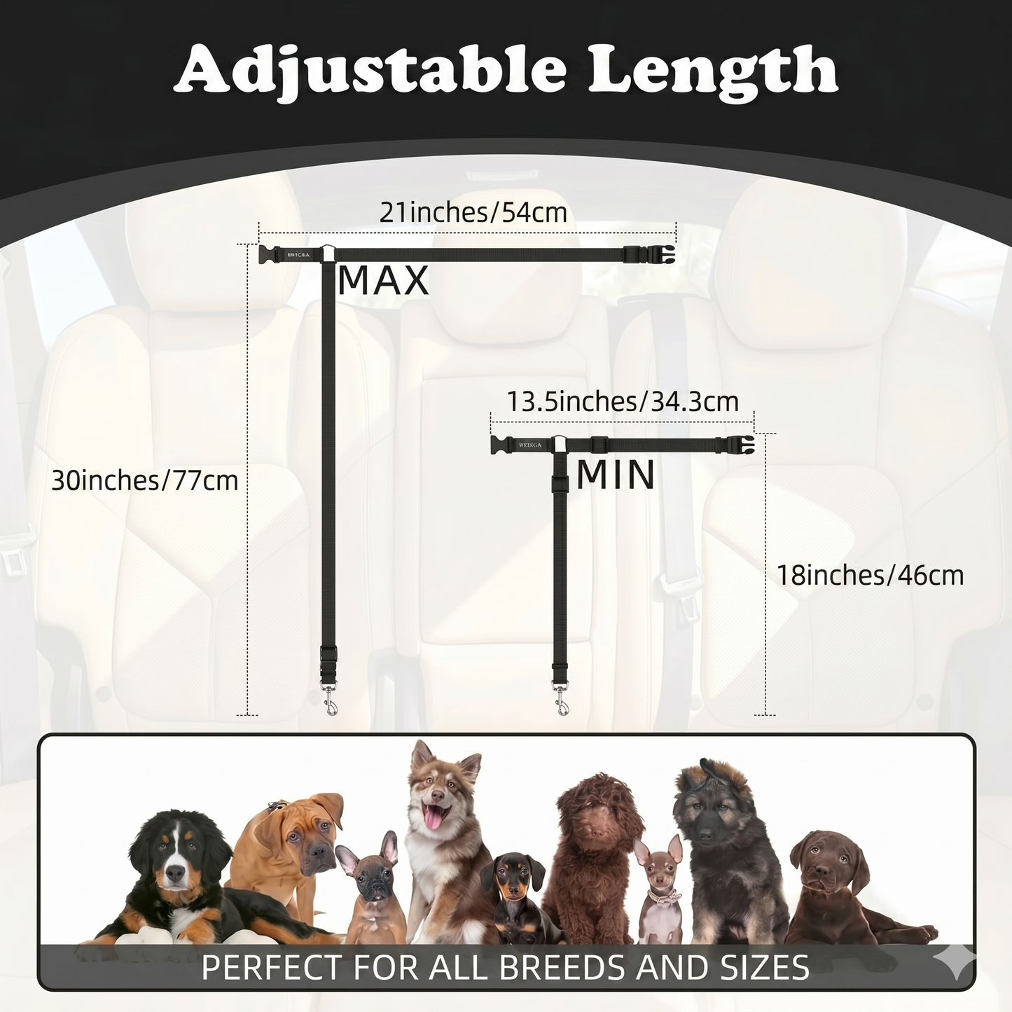 2-in-1 dog car seatbelt and leash