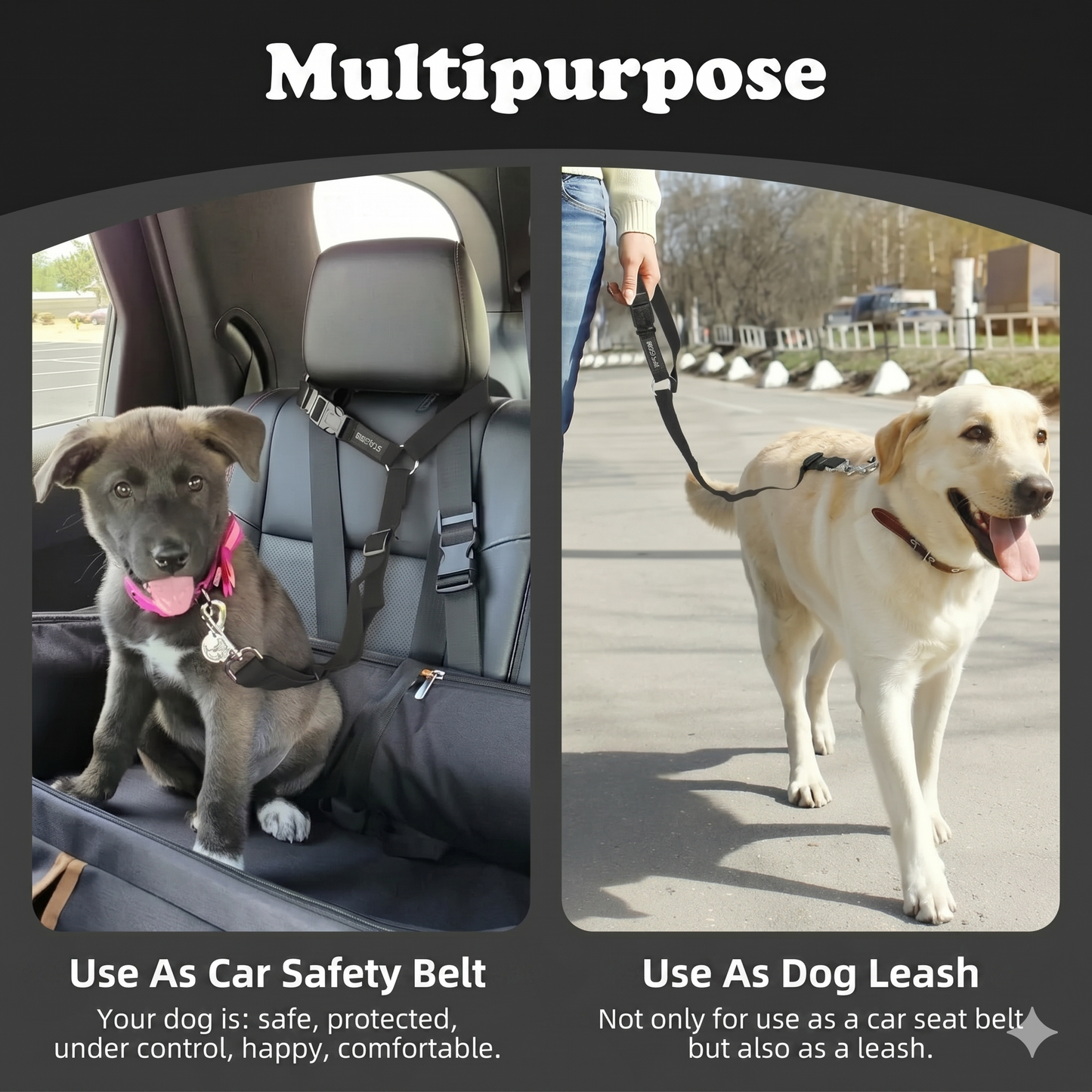 2-in-1 dog car seatbelt and leash