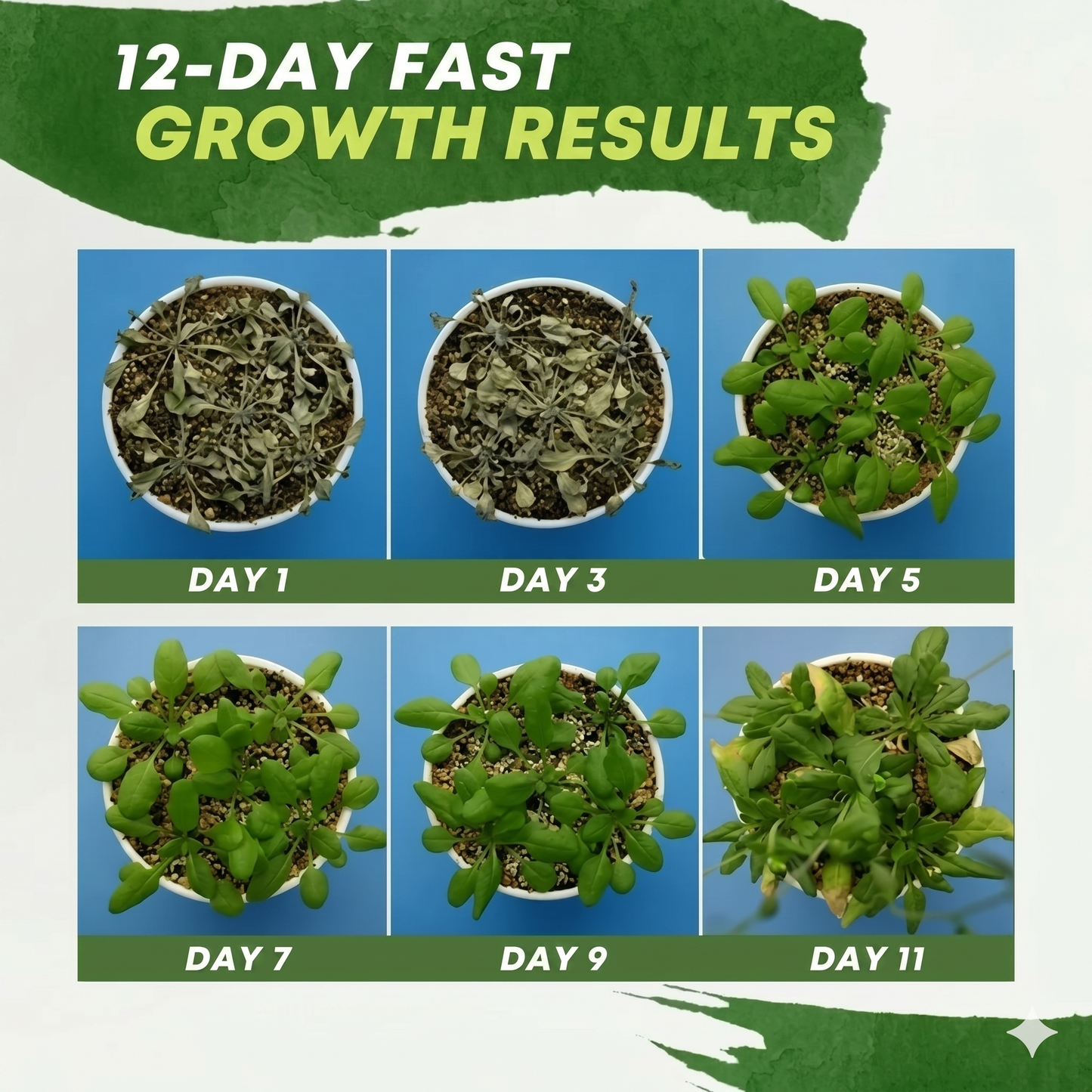 Plant nutrient solution