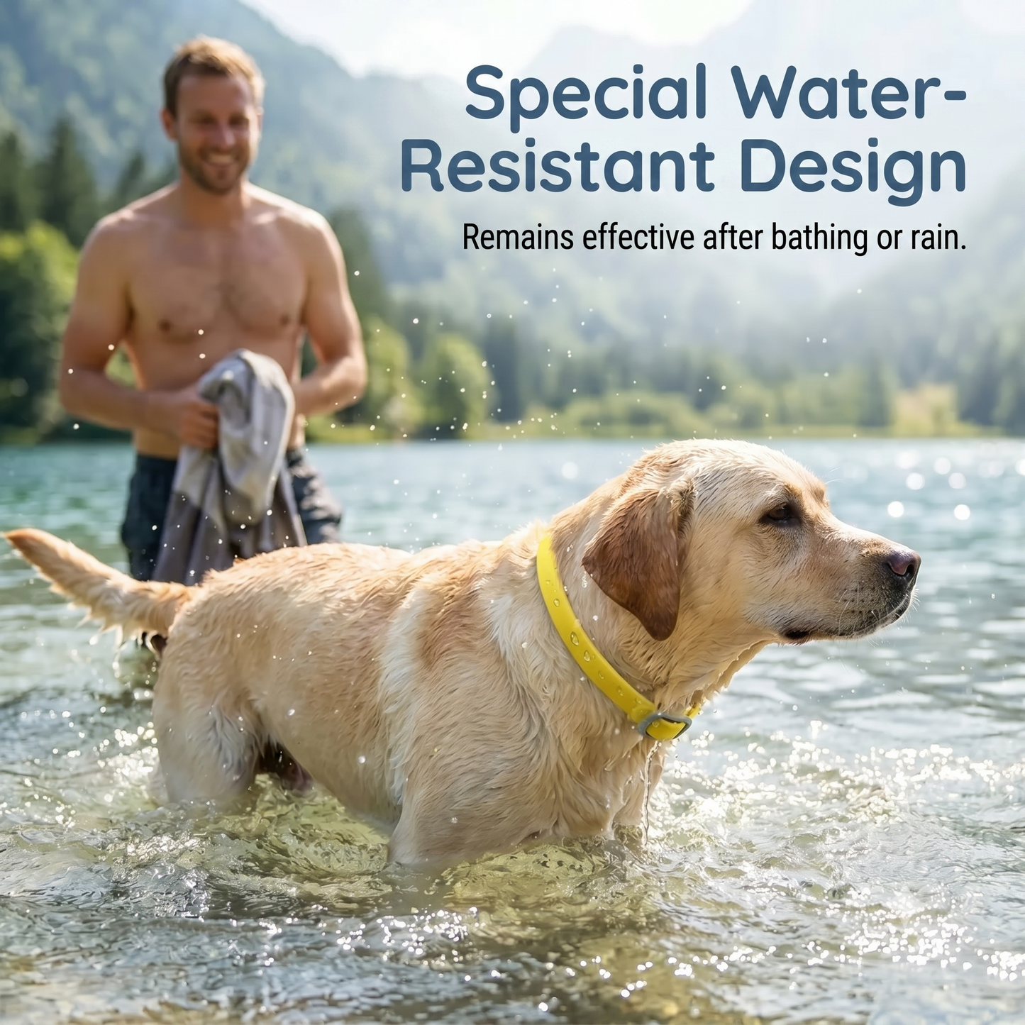 Flea and tick collar for pets