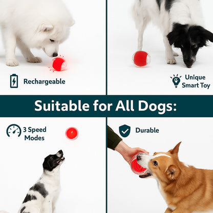 Cat and dog interactive ball