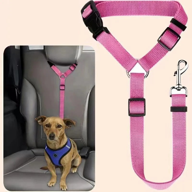 2-in-1 dog car seatbelt and leash