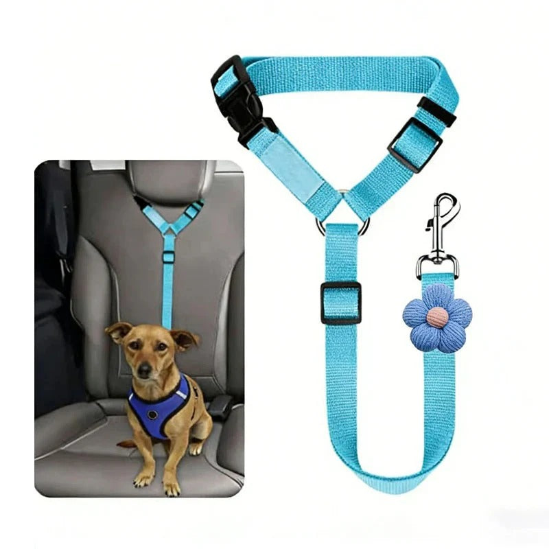 2-in-1 dog car seatbelt and leash