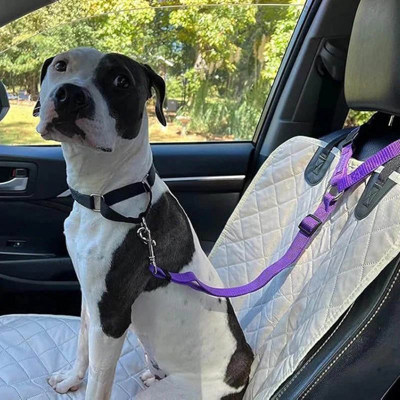 2-in-1 dog car seatbelt and leash