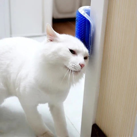 Self-cleaning cat massage brush for corners