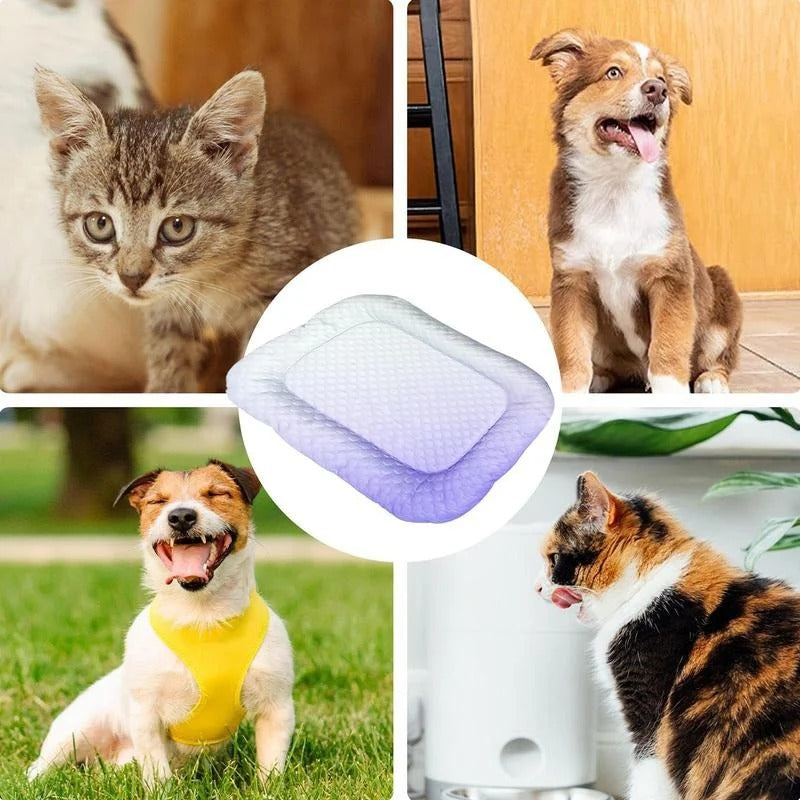 Ice silk cooling mat for dog and cat