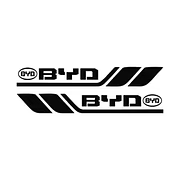 Decorative car stickers (4 pieces)