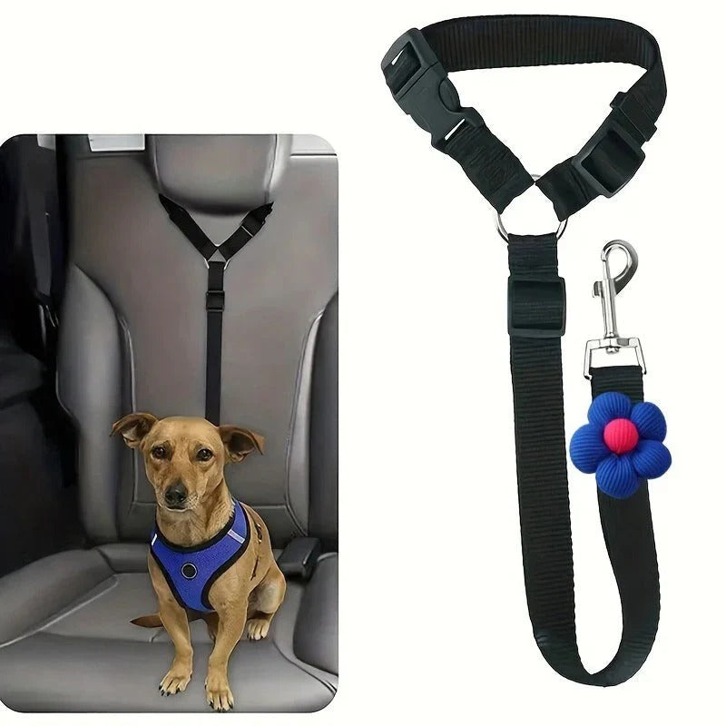 2-in-1 dog car seatbelt and leash