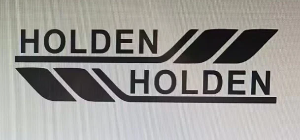 Decorative car stickers (4 pieces)