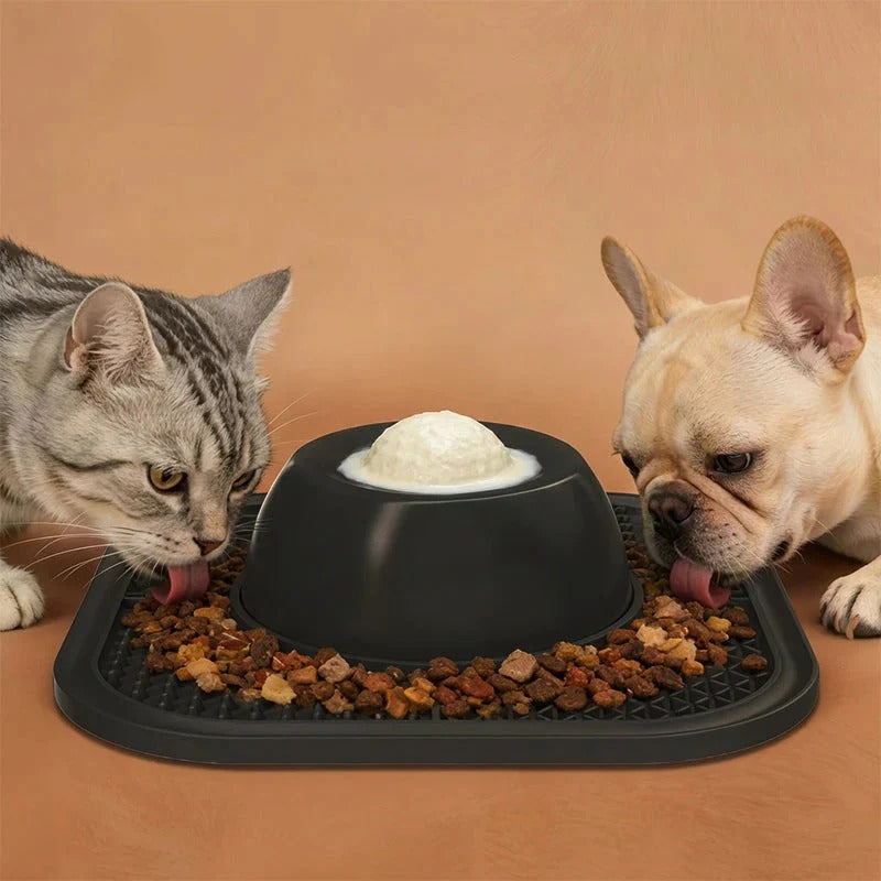 2-in-1 Slow Feeder Silicone Bowl - BPA-free
