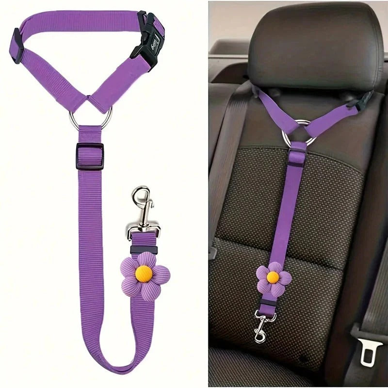 2-in-1 dog car seatbelt and leash