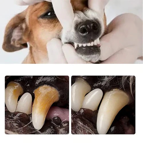 Tartar removal spray for dogs & cats