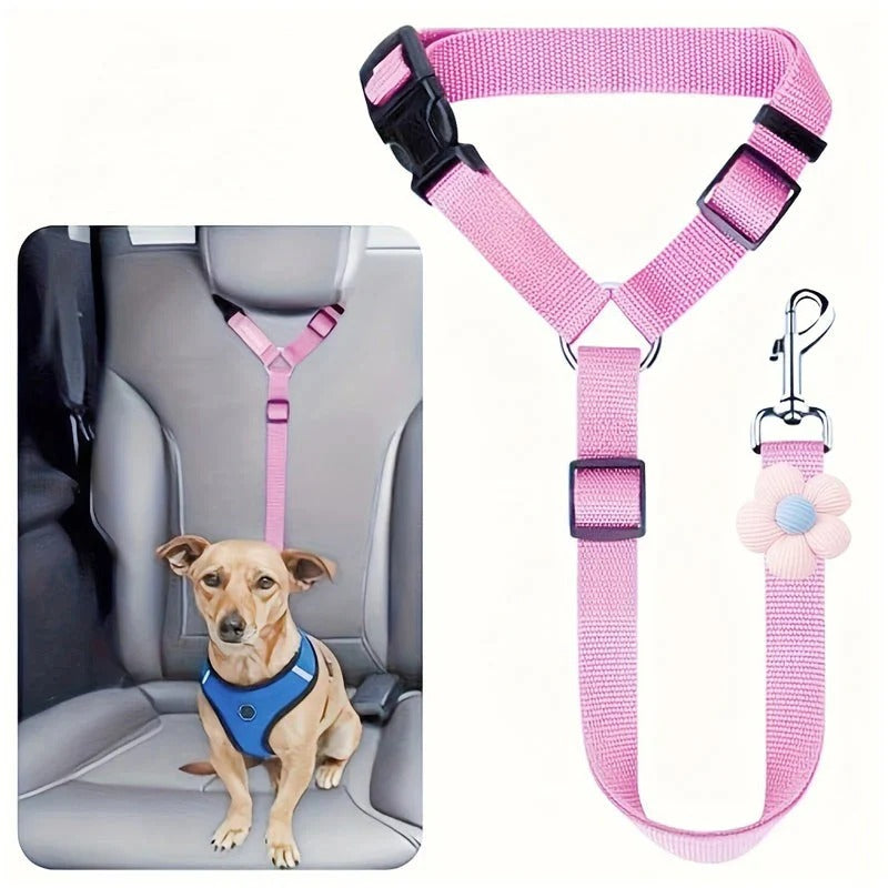 2-in-1 dog car seatbelt and leash