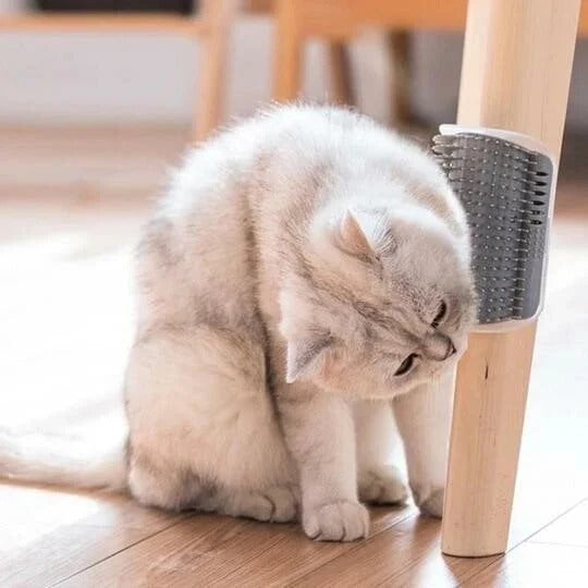 Self-cleaning cat massage brush for corners