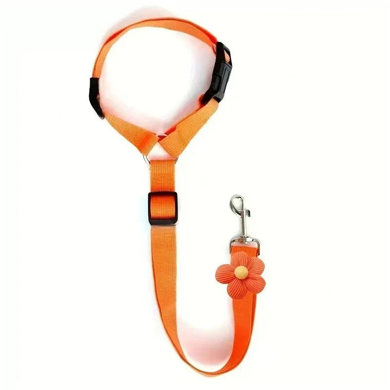 2-in-1 dog car seatbelt and leash
