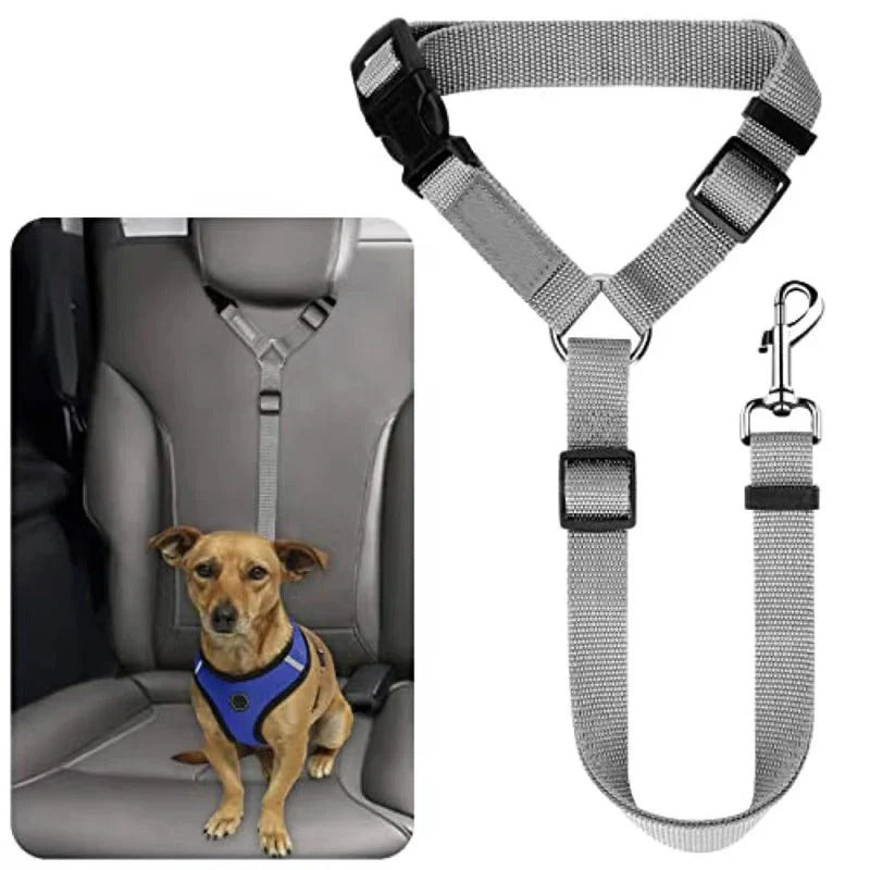 2-in-1 dog car seatbelt and leash